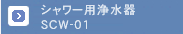 㡦EѾ崡